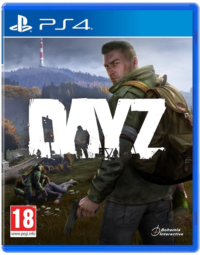 DayZ (PS4)