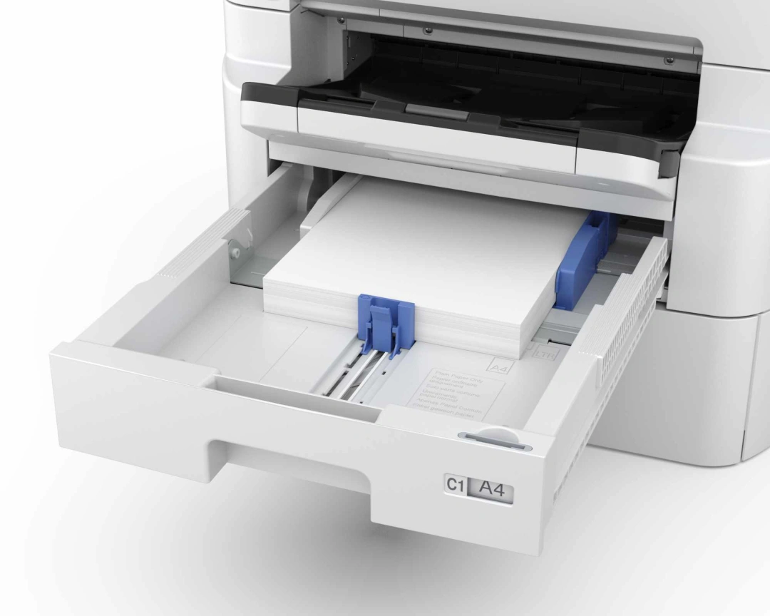 Epson RIPS WF-C879R