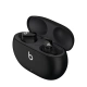 Beats Fit Pro True Wireless Earbuds Sage Gray