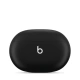 Beats Fit Pro True Wireless Earbuds Sage Gray