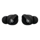 Beats Fit Pro True Wireless Earbuds Sage Gray