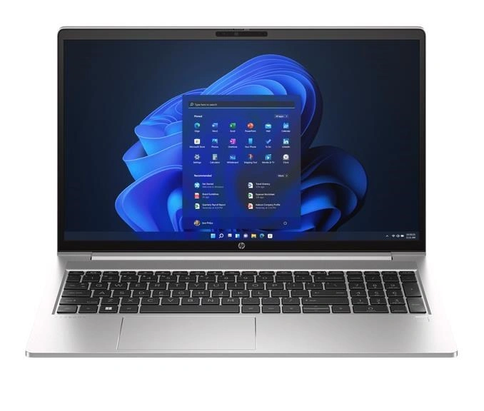 HP ProBook 455 G10 (817Z8EA), Silver
