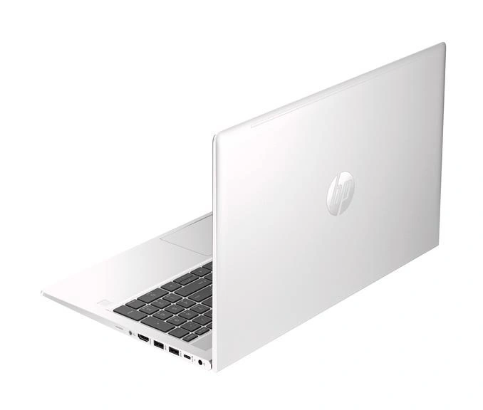 HP ProBook 455 G10 (817Z8EA), Silver