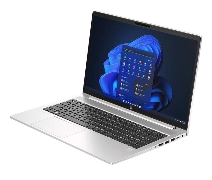 HP ProBook 455 G10 (9Y6Z6AT)