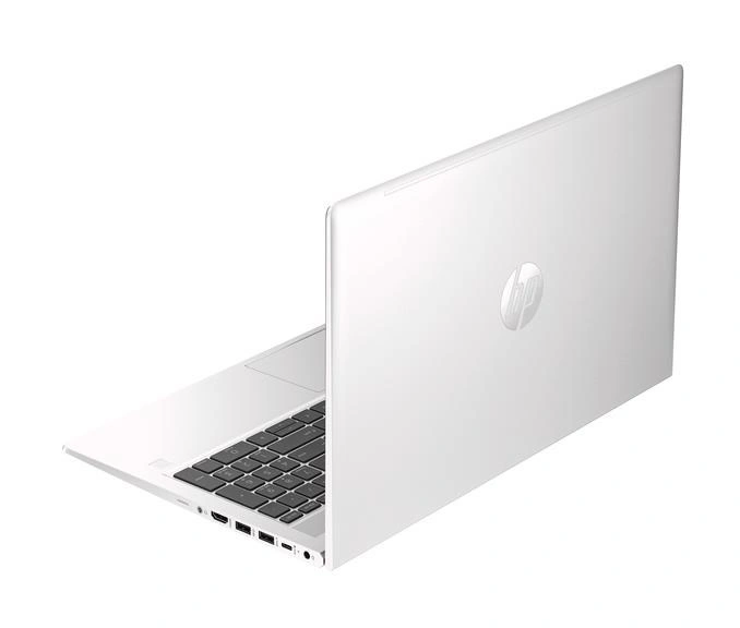 HP ProBook 455 G10 (9Y6Z6AT)