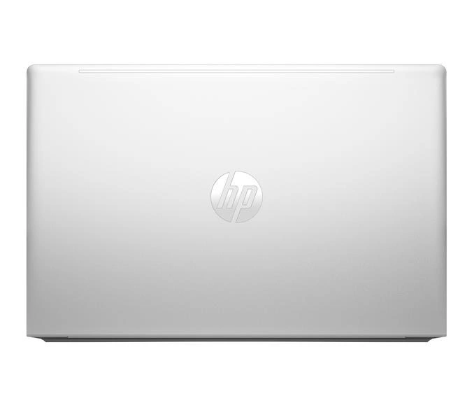 HP ProBook 455 G10 (9Y6Z6AT)