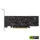 ASUS NVIDIA GeForce RTX 4060 8GB OC LP