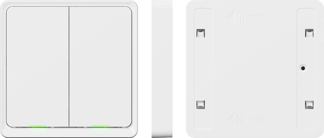 Tesla Smart Switch Dual Battery