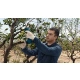 BOSCH Professional Pro Pruner (0.601.9K1.021)