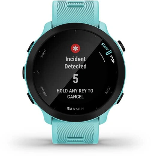 Garmin Forerunner 55 Blue 