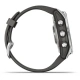 Garmin Fenix 7S Glass Silver / Graphite Silicone Band