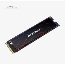FUTURE, M.2 - 512GB (HS-SSD-FUTURE(STD)/512G/PCIE4/WW)