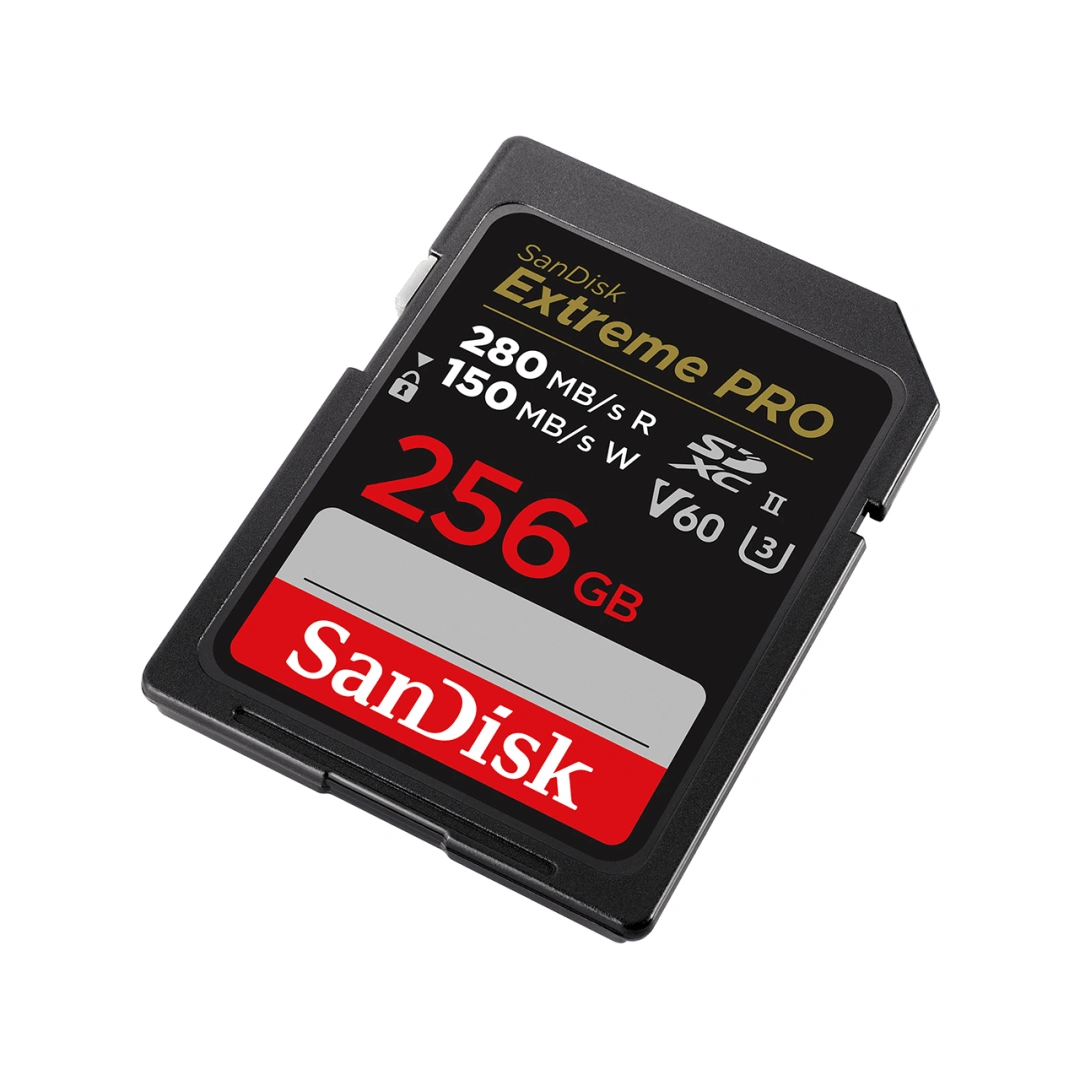 SanDisk SDSDXEP-256G-GN4IN