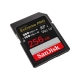 SanDisk SDSDXEP-256G-GN4IN