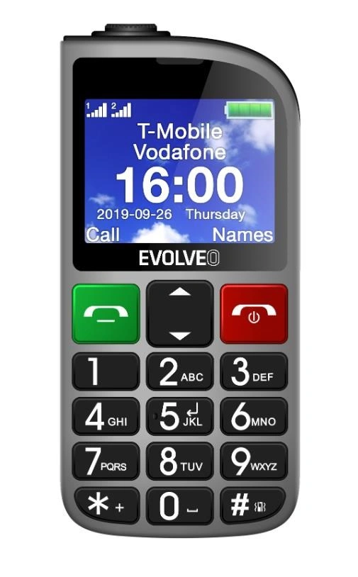 Evolveo EasyPhone EP-800-FMS, Silver