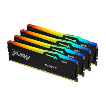 Kingston Technology Beast RGB