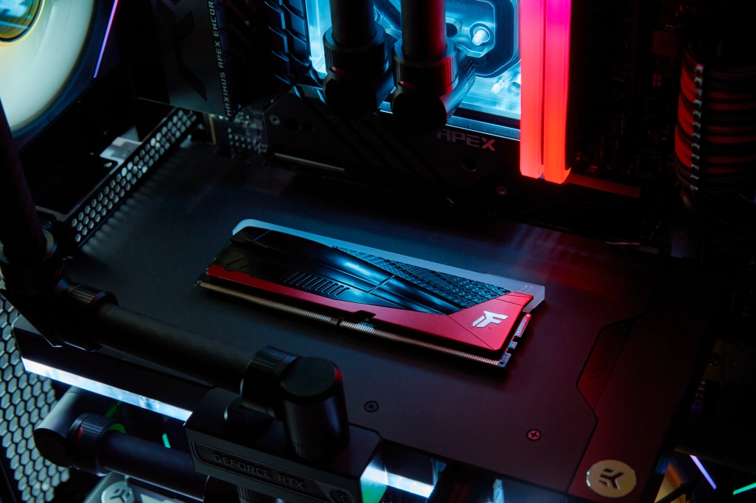 Kingston Technology Renegade RGB Limited Edition