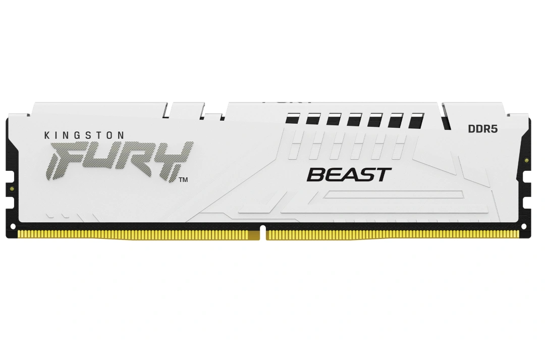 Kingston Technology Beast