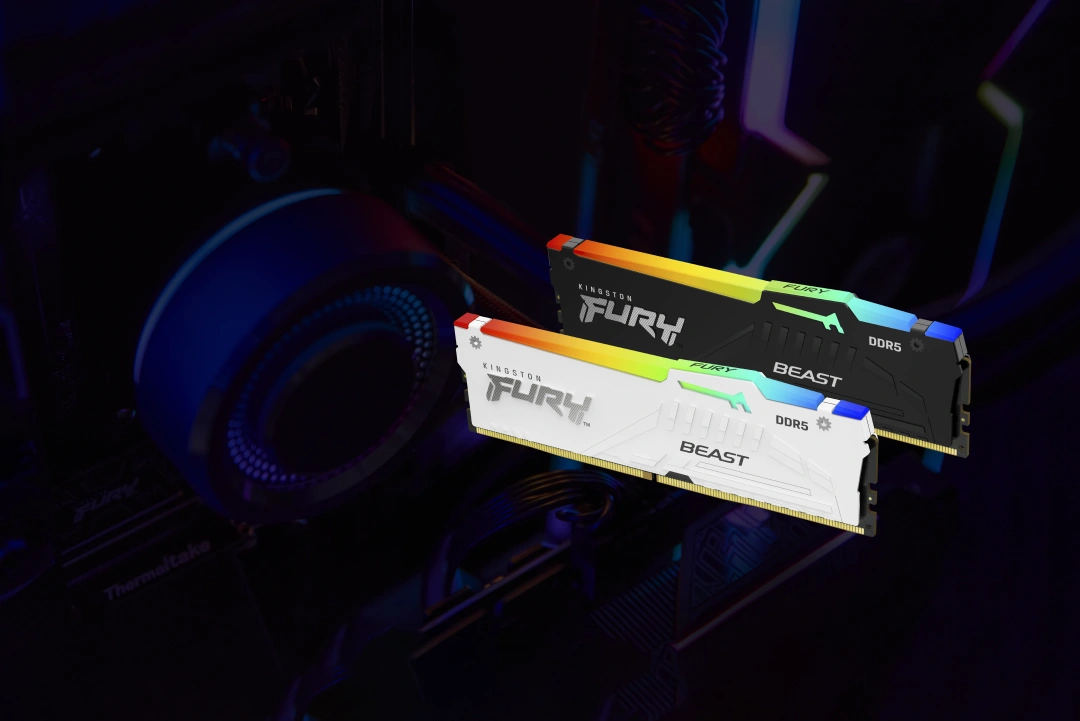 Kingston Technology Beast RGB