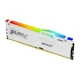 Kingston Technology Beast RGB