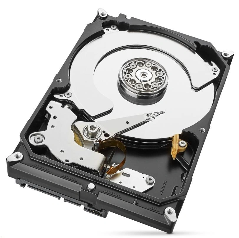 Seagate SkyHawk - 2TB