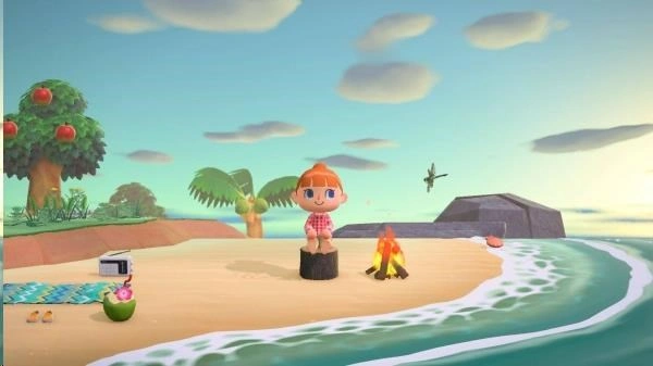 Animal Crossing: New Horizons (SWITCH)