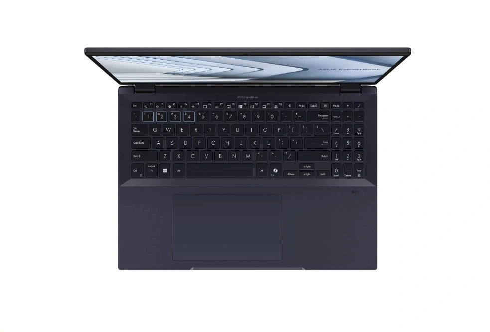 ASUS ExpertBook B5 (B5604CMA-Q90161X), černá