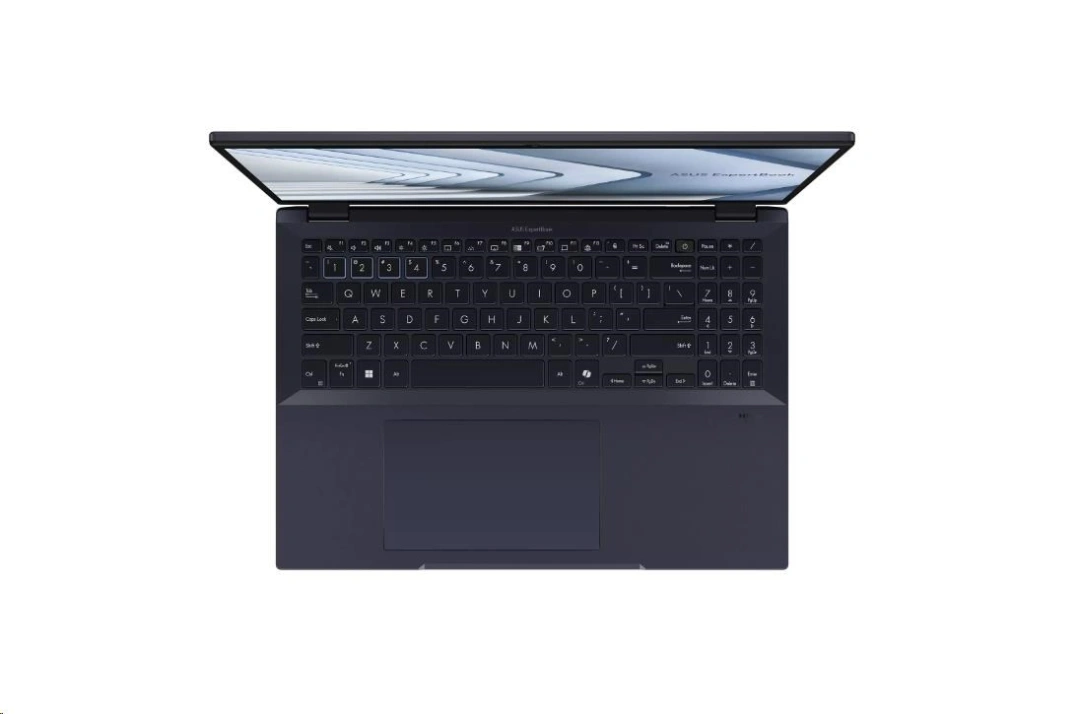 ASUS ExpertBook B5 (B5604CVA), černá