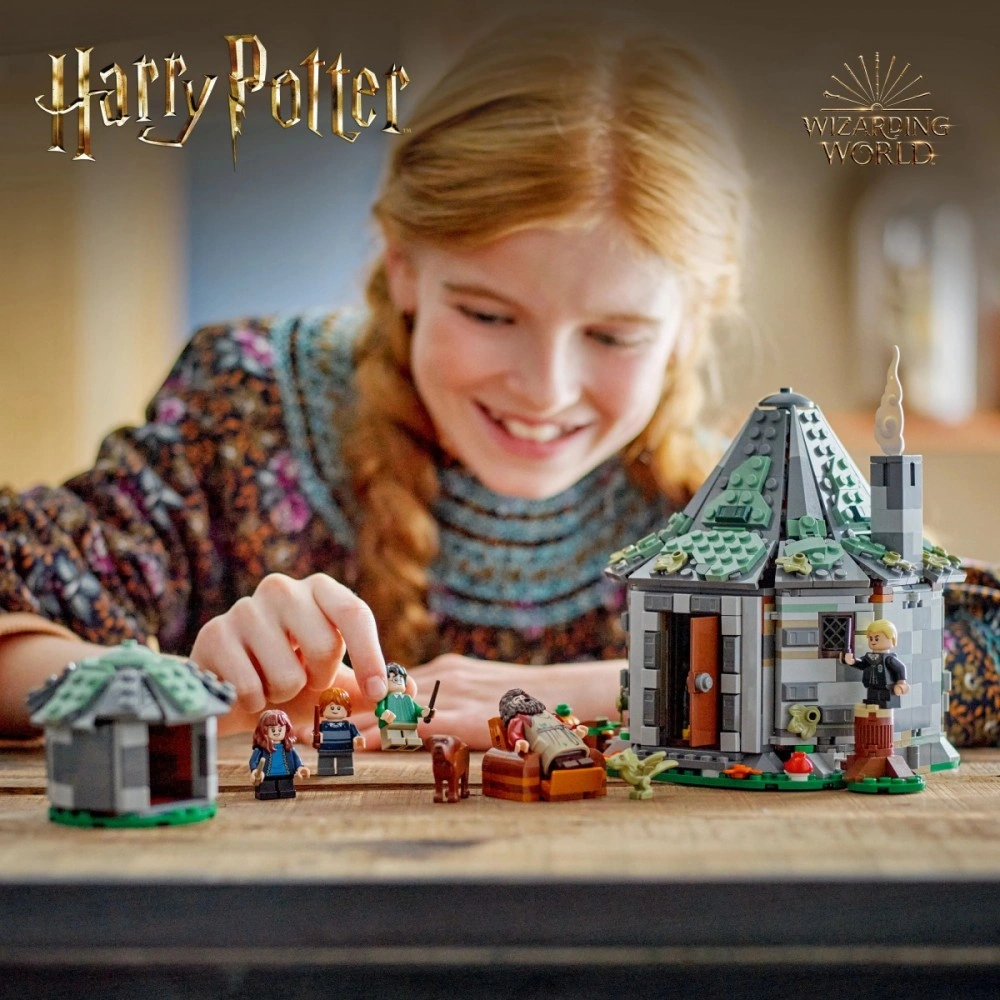 LEGO Harry Potter 76428 Hagridova bouda: Neočekávaná návštěva