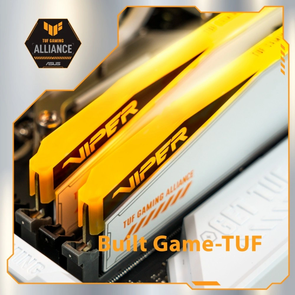 Patriot Viper Elite 5 Tuf Gaming RGB, 48GB (2x24GB) DDR5 6000 CL36