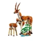 LEGO Creator 31150 Divoká zvířata ze safari