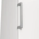 Gorenje FN619EEW5