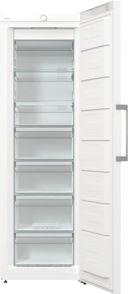 Gorenje FN619EEW5