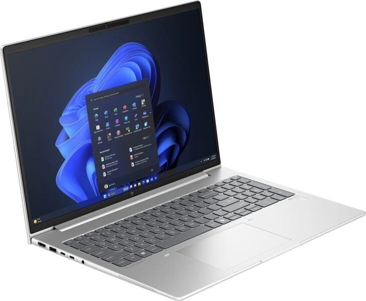 HP EliteBook 665 G11, silver (A37Z0ET)