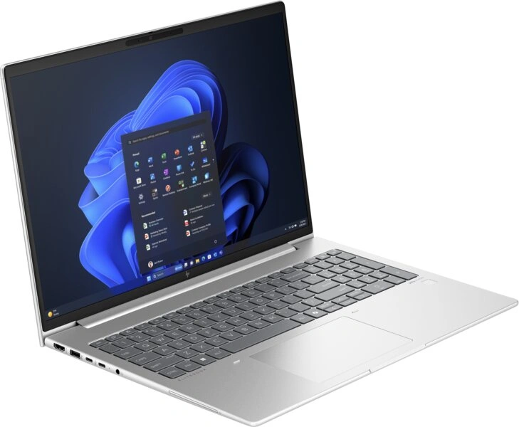 HP EliteBook 665 G11, silver (A37YZET)