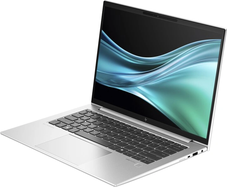 HP EliteBook 845 G11, stříbrná (9G148ET)