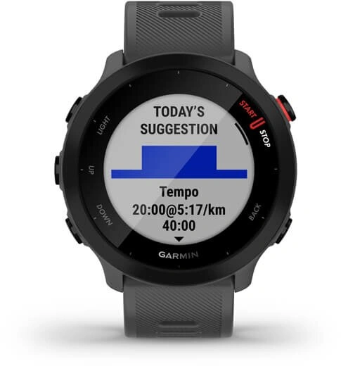 Garmin Forerunner 55 Gray