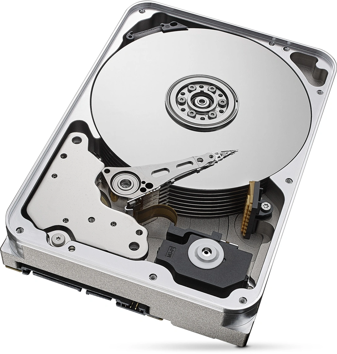 Seagate SkyHawk AI 12TB (ST12000VE001)