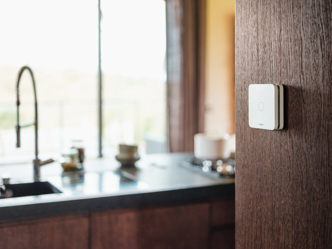 Netatmo Smart Carbon Monoxide Alarm (NCO-EC)