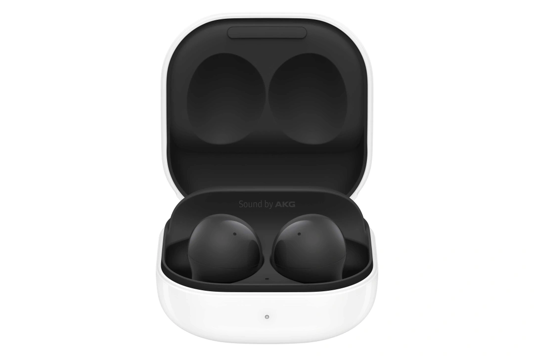 Samsung Galaxy Buds2, Graphite