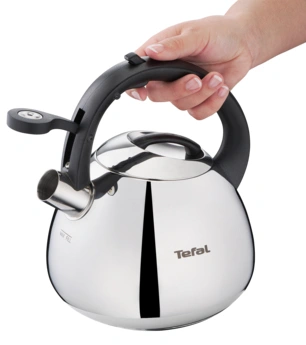 Tefal K24815