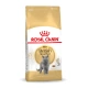 Royal Canin British Shorthair Adult - 10kg