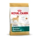 Royal Canin Golden Retriever Adult - 12kg