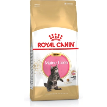 Royal Canin Maine Coon Kitten - 4kg