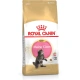 Royal Canin Maine Coon Kitten - 4kg