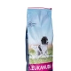 Eukanuba Adult Medium Breeds - 15kg