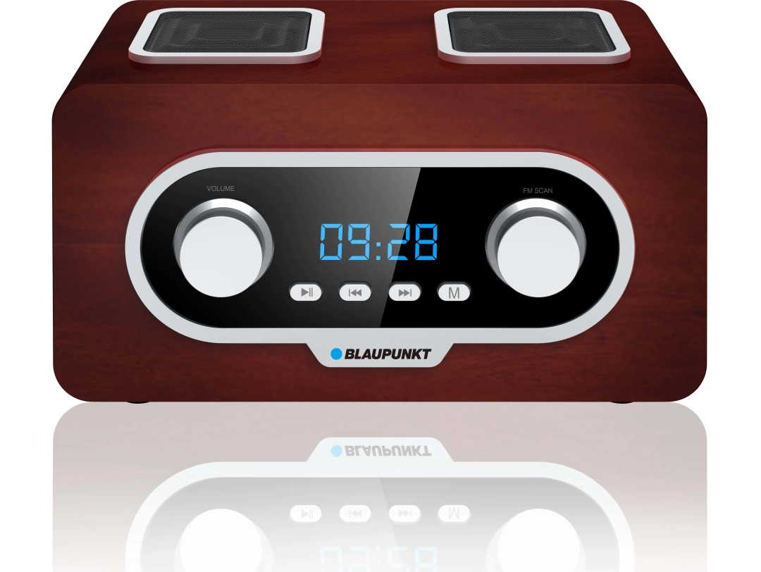 Blaupunkt PP5.2BR