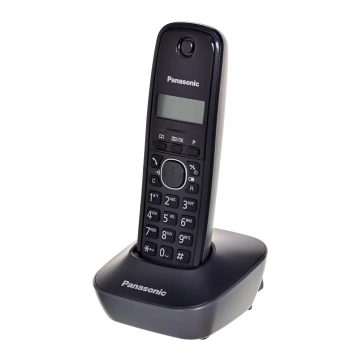 Panasonic KX-TG1611PDH