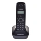 Panasonic KX-TG1611PDH