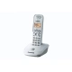 Panasonic KX-TG2511PDW